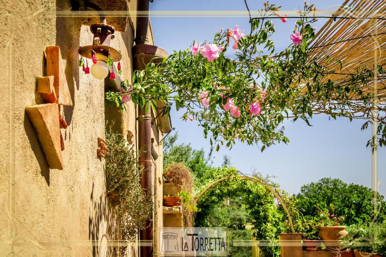 B&B La Torretta Maratea Εξωτερικό φωτογραφία