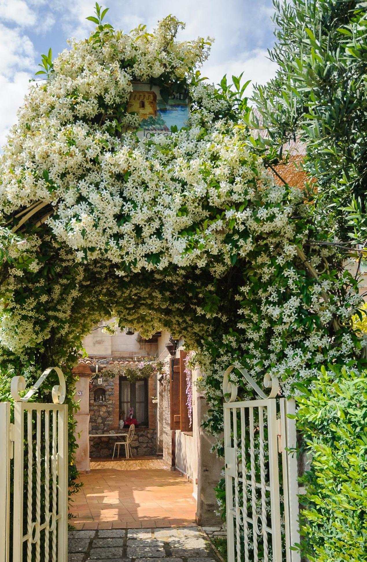 B&B La Torretta Maratea Εξωτερικό φωτογραφία