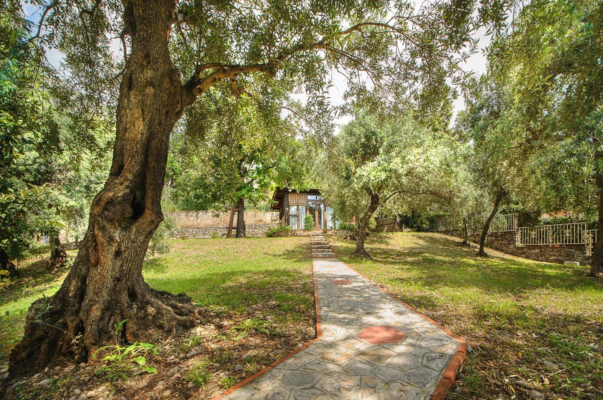 B&B La Torretta Maratea Εξωτερικό φωτογραφία